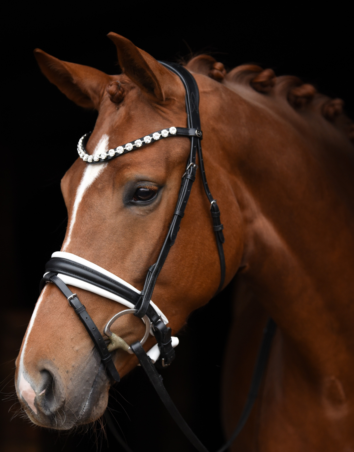 SD® CROWN Santalina Bridle Black/White. PONY R427 SD® Normal bridles