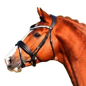 For the Horse