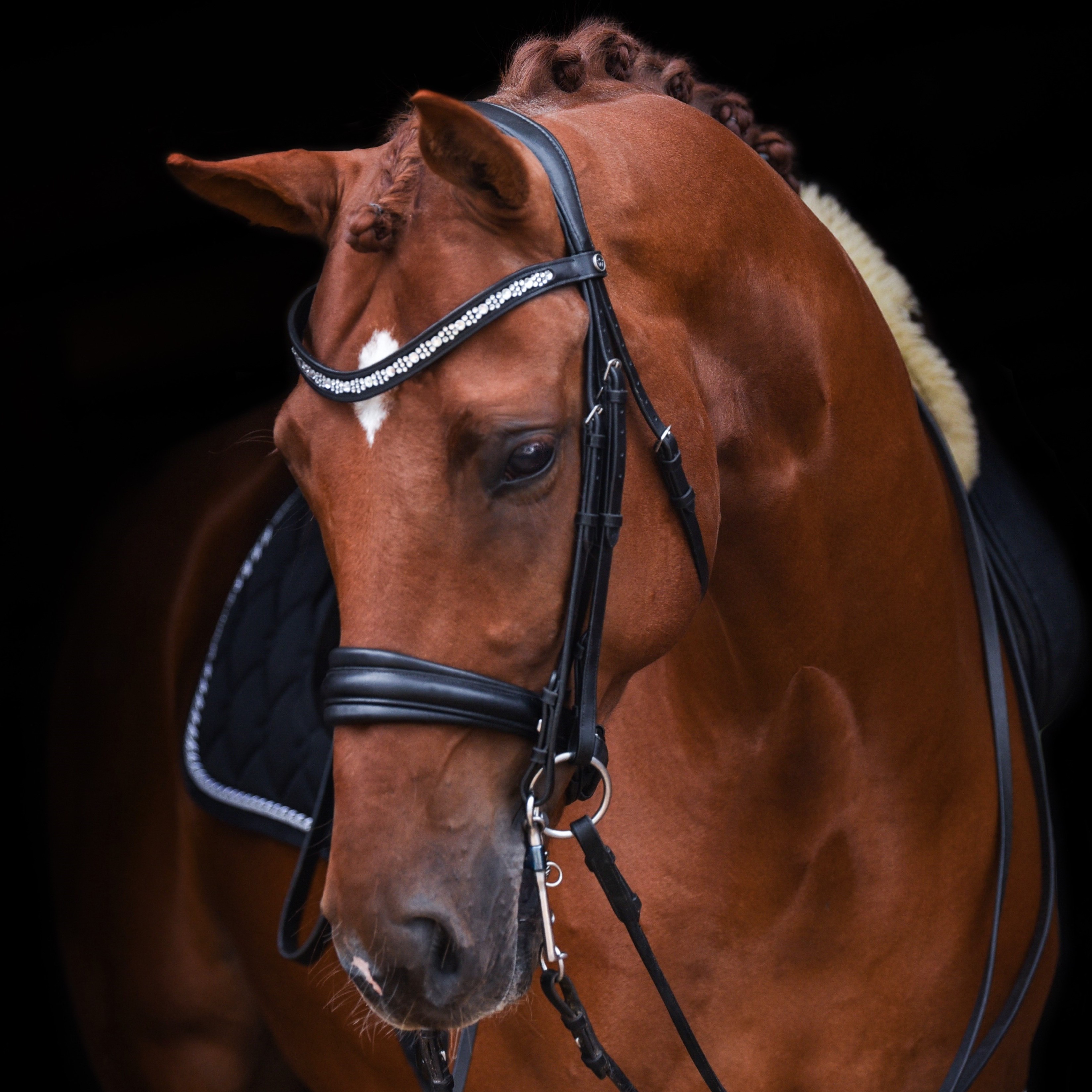 SD Millennium Double Bridle Black/Black. R-824.