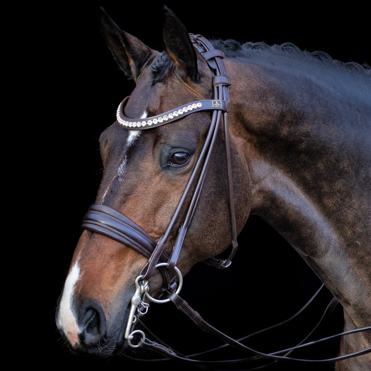 SD Belissimo rolled double bridle in brown/brown. R837