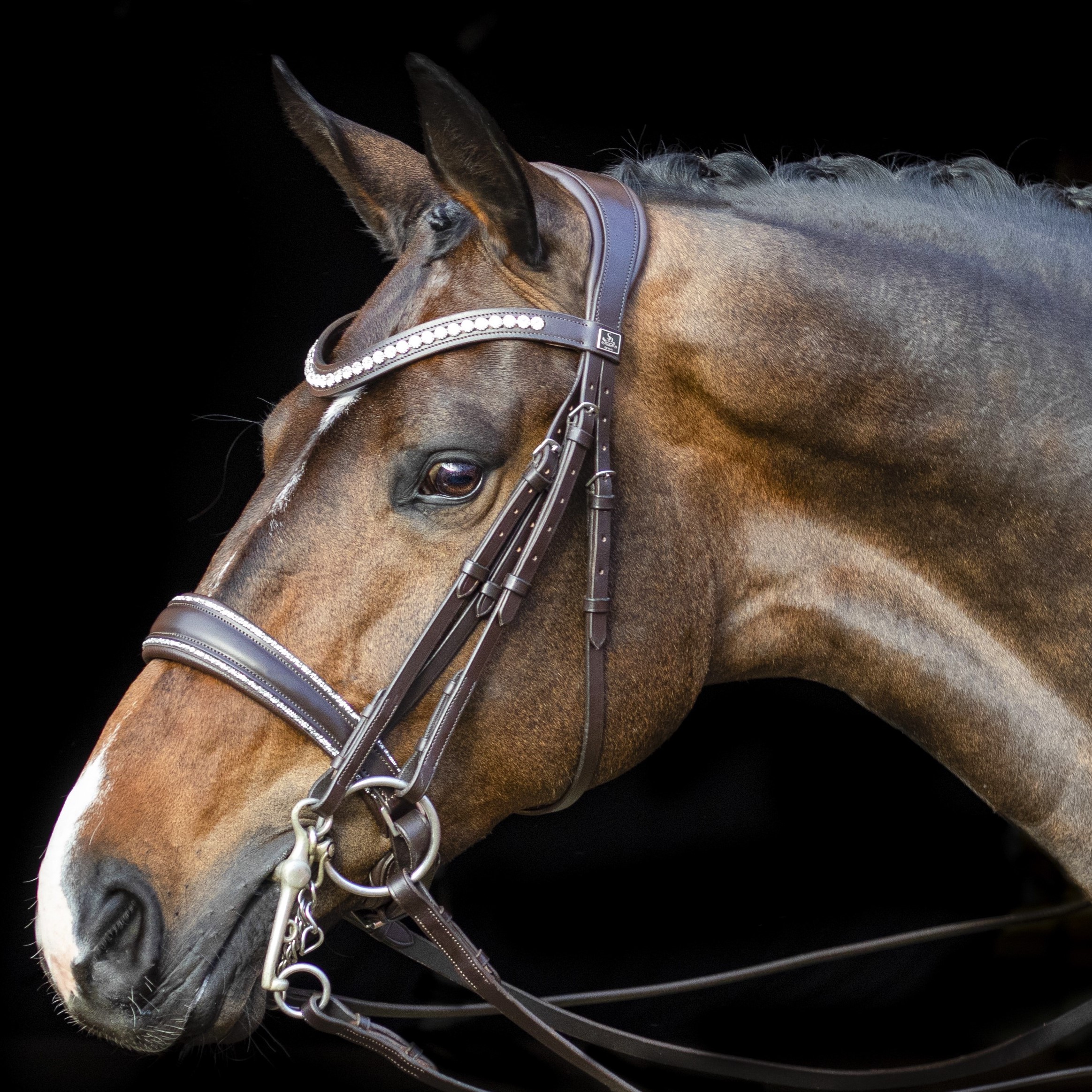 SD® Celebrity Double Bridle. Crystal Rocks. BR/BR. R-868 - SD® Double ...