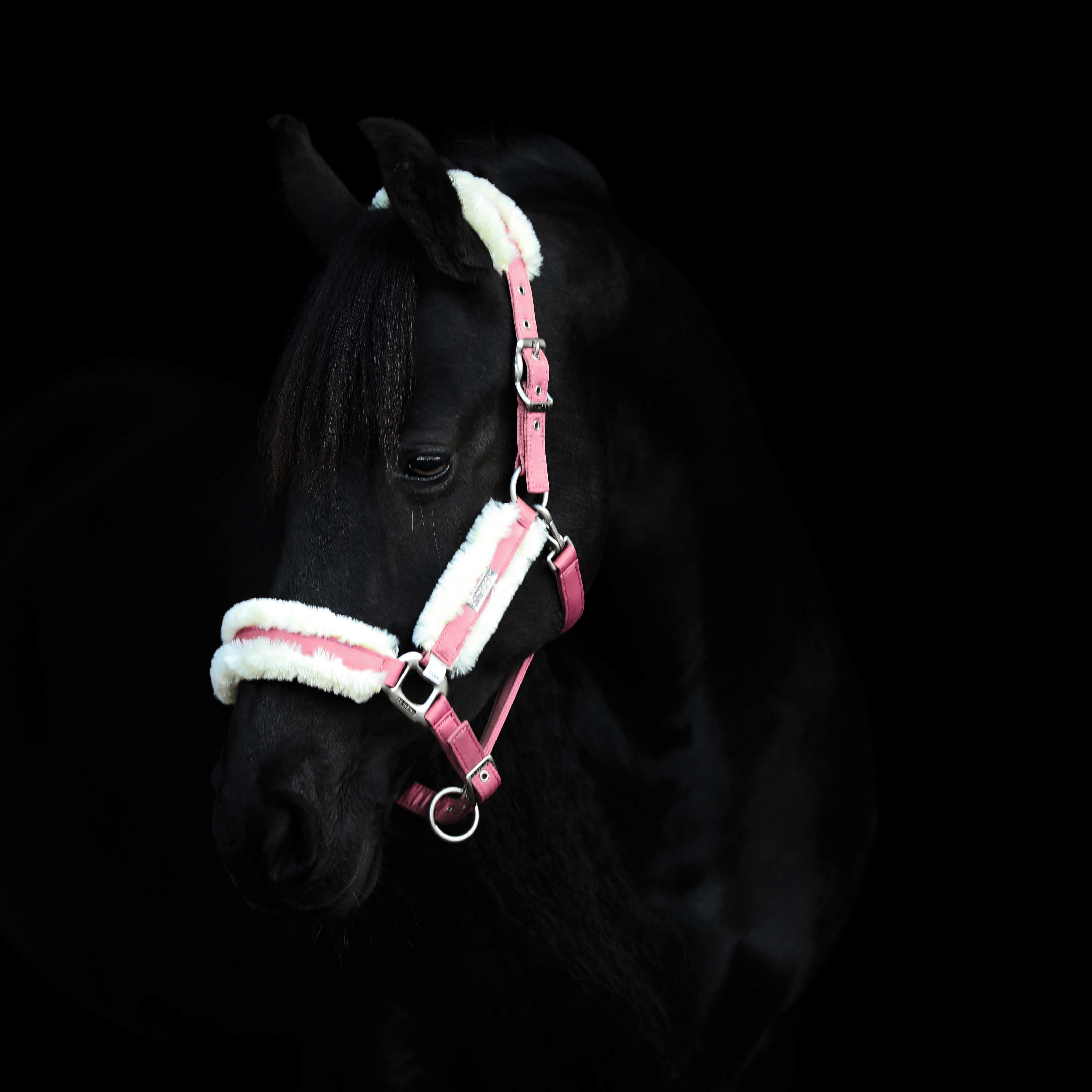 Sd Be Tempted Halter Candyfloss Sd Halters Sd Design Aps