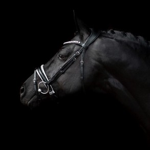 Photos by Ida K. D. Dalgaard