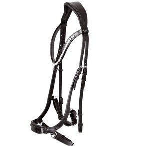 SDŽ Anatomic bridles