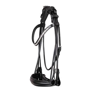 SDŽ Rolled double bridles